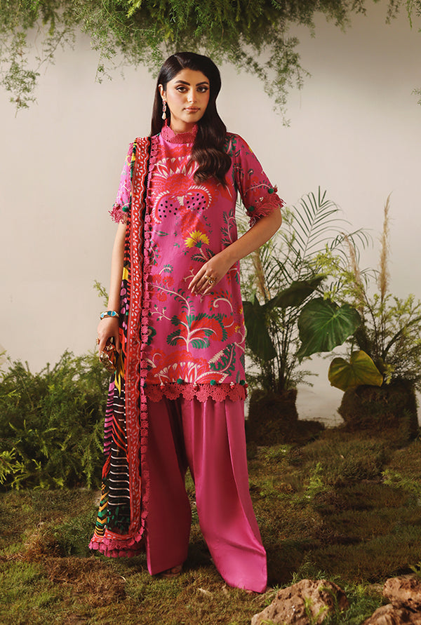Deep Pink - 00164