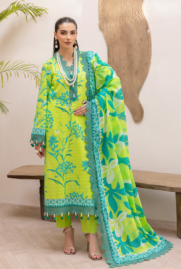 Salad Green - 00124